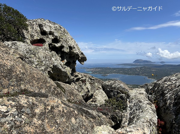 サルデーニャ島ハイキング　ガッルーラ地方の花崗岩